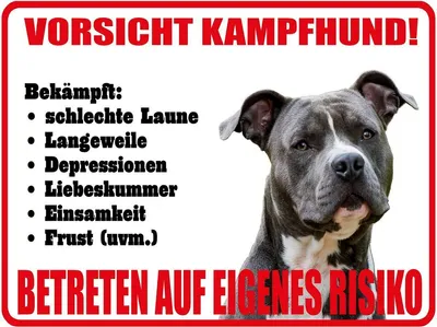 Produktbild von vianmo Holzschild 30x40 cm Hund Vorsicht Kampfhund Risiko