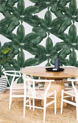 Produktbild von Coloray Fototapete 250x250 cm Latextapete Magicstick - Bananenblatt Floralleaves Botanical