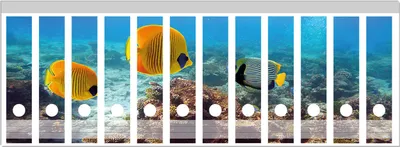 Produktbild von Wallario Ordnerrücken Sticker, selbstklebend für breite Ordner, 12 Stück, Motiv Exotische Fische im Meer
