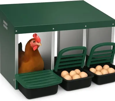 Obrázek produktu pro Hnízdní budka pro slepice, tříkomponentový design, robustní ocelová konstrukce, zelená barva