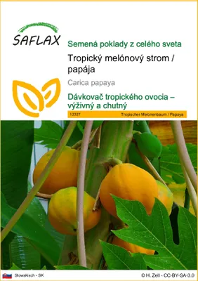 Obrázok produktu pre SAFLAX - Tropický melónový strom / papája - Carica papaya - 30 Semená