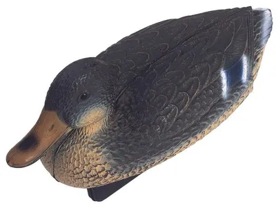 Produktbild von Oase Teichfigur Stockente weiblich