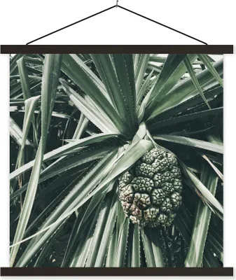Produktbild von MuchoWow® Textilposter Kaktus - Tropisch - Grün 90x90 cm mit schwarzem Rahmen - Magnetisches