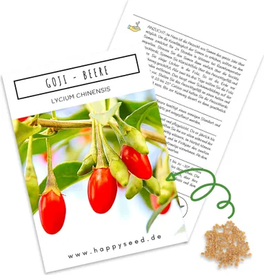 Produktbild von Goji Beeren Samen (Lycium chinense) - Vitaminreiche, rote Wolfsbeeren ideal für die Anzucht im Garten, Balkon oder Terrasse