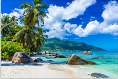 Produktbild von MuchoWow® Poster Strand - Meer - Tropisch 180x120 cm - Fotoplakat