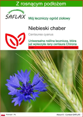 Zdjęcie produktu dla SAFLAX - Niebieski chaber - 27000 Nasiona - Z podłożem uprawowym wolnym od zarazków - Centaurea cyanus