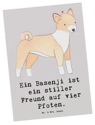 Produktbild von Mr. & Mrs. Panda Fotokarte Basenji Freund - Grau Pastell - Geschenk, Hunderassen, Hunderasse, intelligenter Hund, Kunstkarten, bildkarte, loyaler Begleiter, Postkarten