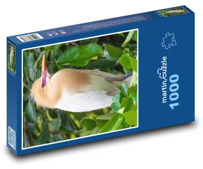 Zdjęcie produktu dla martinpuzzle - Puzzle 1000 - Pták - Petulubali, volavka
