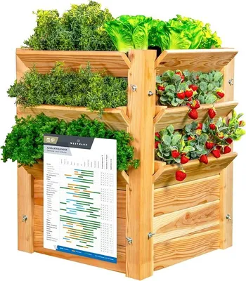 Imagen del producto de Cama elevada de madera de aliso, 66x66x73 cm, color natural, para plantar