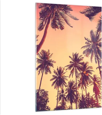 Produktbild von Bilder auf glas - Einteilig - Palmen Himmel Sonne - 80x120cm - Glasbilder - Wandbilder - Bilder - zum Aufhängen bereit - Wanddekoration aus Glas - Glas Bilder - Wandbild auf Glas - GPA80x120-4220