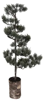 Immagine prodotto di Mini albero di Natale artificiale Clayre & Eef 28x28x80 cm / 3xAAA legno verde