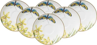 Produktbild von Villeroy & Boch Amazonia Espressountertasse ø 12 cm 6er Set