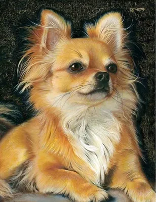 Produktbild von Diamond Painting Vollbild 50x70 cm mit eckigen Steinen