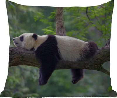 Produktbild von MuchoWow® Outdoor Kissen - Panda - Baum - Tiere - Natur - 40x40 cm - Wetterfest - Lounge Kissen - Kopfkissen - Interieur - Polster mit Bild