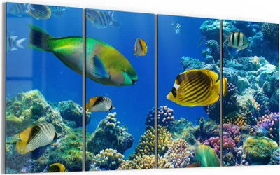 Produktbild von DEQORI Glasbild Echtglas 4x30x60 cm 'Unterwasserwelten' Wandbilder XXL groß