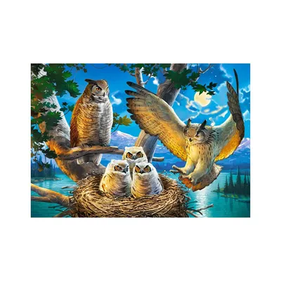 Produktbild von Puzzle Castorland - Sovia rodinka, 500 dielikov