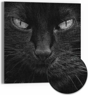 Produktbild von DEQORI Hybrid Leinwand Bild 30x30 cm 'Mystische Katzenaugen' Wandbild Glas flach modern