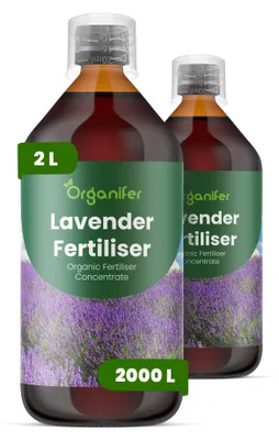 Obrázek produktu pro Levandula Tekuté Hnojivo 2x1 L – 2-1-8 NPK – Pro Levandulu – Podporuje Stabilnú Štruktúru & Aromatické Květy – Organifer
