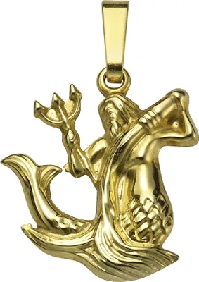 Produktbild von V Anhänger Sternzeichen Wassermann 585/- Gold 1,8cm gelb 371340627-1-011