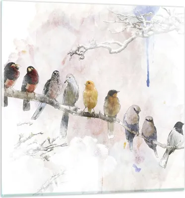 Produktbild von Bilder auf glas - Einteilig - Vögel Kanarienvogel Zweig - 70x70cm - Glasbilder - Wandbilder - Bilder - zum Aufhängen bereit - Wanddekoration aus Glas - Glas Bilder - Wandbild auf Glas - GAC70x70-4175