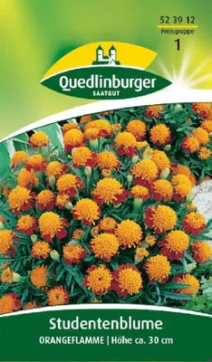 Produktbild von Quedlinburger Saatgut - Studentenblumen Orangeflamme - Samen - 523912