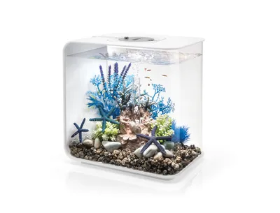 Produktbild von Dekoratives 30-liter-mcr-aquarium mit weißem rahmen Oase FLOW30MCR WHITE