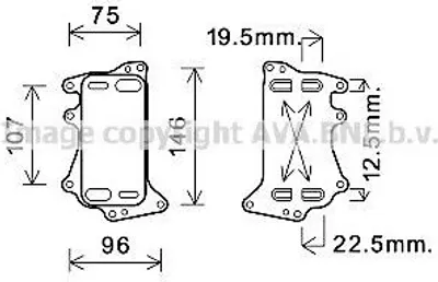 Produktbild von PRASCO Ölkühler Automatikgetriebe BW3556 für BMW 5 Touring (F11)
