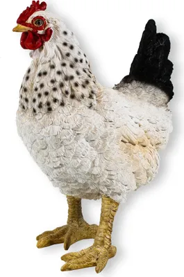 Zdjęcie produktu dla Ozdoba ogrodowa – figurka kurczaka, biała, 35 cm, stojąca; ozdobne kurczaki; ozdobne kury