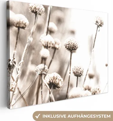 Produktbild von MuchoWow® - Leinwandbilder - Blumen - Pflanzen - Stillleben - Natur, Wandbild, Wanddeko Bilder Wohnzimmer, 80x60 cm