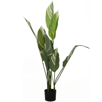 Obrázek produktu pro Umělá rostlina s velkými listy, 118 cm