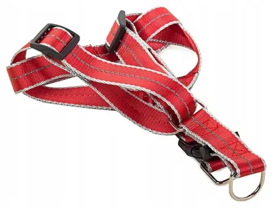 Immagine prodotto di Verk 19121 Pettorina in nylon con guinzaglio per cani 125 x 2,5 cm, rossa