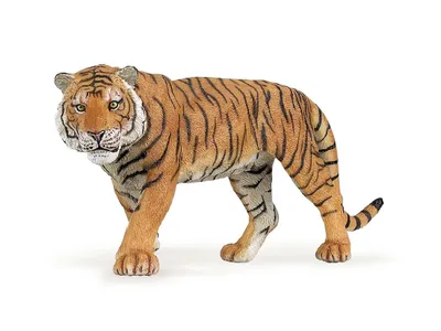 Produktbild von Tigre maschio Papo cod. 50004 PAPO Altersgruppe: +3 Jahre alt