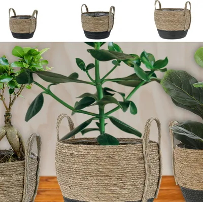 Produktbild von Pflanzkorb 3er Set Rohrkolbengras S:20x25x20cm; M23x28x23cm; L:26x31x26cm Kunstofffolien-Inlay Übertopf Körbe Korbset Pflanztopf