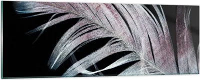 Produktbild von Bilder auf glas - Einteilig - Feder die Farben Zartheit - 90x30cm - Glasbilder - Wandbilder - Bilder - zum Aufhängen bereit - Wanddekoration aus Glas - Glas Bilder - Wandbild auf Glas - GAB90x30-4959