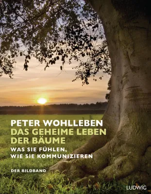 Produktbild von Das geheime Leben der Bäume