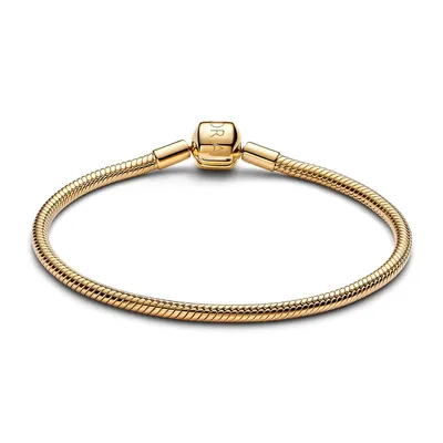 Produktbild von PANDORA Schlangenarmband für Damen, Moments, IP Gold