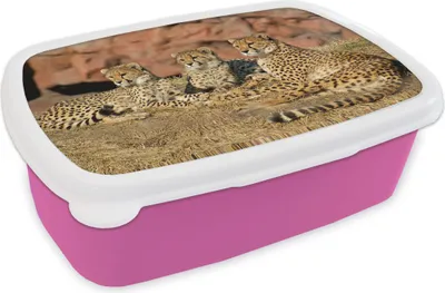 Produktbild von KitchenYeah® Lunchbox Brotzeit Brotdose 17x11 cm Gepardenmutter und -junge Kinder Brotzeitdose - Lunchpaket - Brotkasten  - Sandwich Box