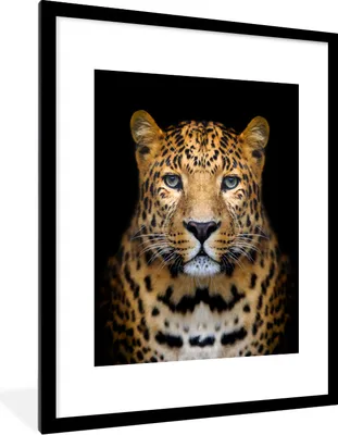 Produktbild von MuchoWow® MuchoWow® Gerahmtes Poster Panther - Tiere - Schwarz 60x80 cm - Poster mit zchwarzem Bilderrahmen - Wohnzimmer - Dekorationen - Prämie