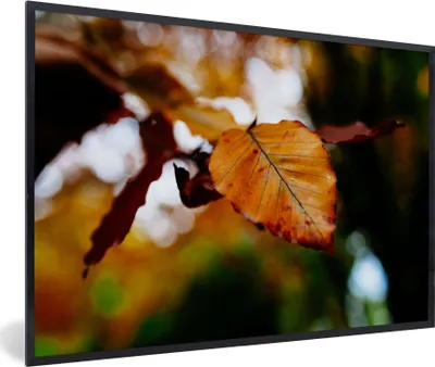 Produktbild von MuchoWow® Gerahmtes Poster Buche - Herbst - Laub 60x40 cm - Poster mit Schwarzem Bilderrahmen Wandposter Rahmen Foto Bilder - Printing - Wanddeko Schlafzimmer