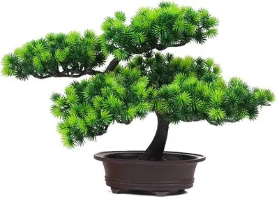 Immagine prodotto di Decorazione in plastica a forma di bonsai di pino per la casa e l'ufficio