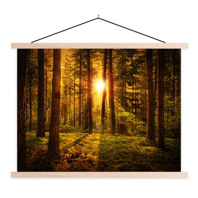 Produktbild von MuchoWow® Textilposter Wald - Sonne - Bäume - Natur - Sonnenuntergang 60x45 cm mit holzfarbenen Rahmen - Bild