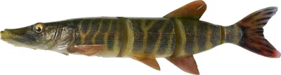 Productafbeelding van Savage Gear 4D Line Thru Pike - Zwemkunstaas van rubber, kleur: Gestreepte paling, lengte / gewicht: 25 cm / 110 gram