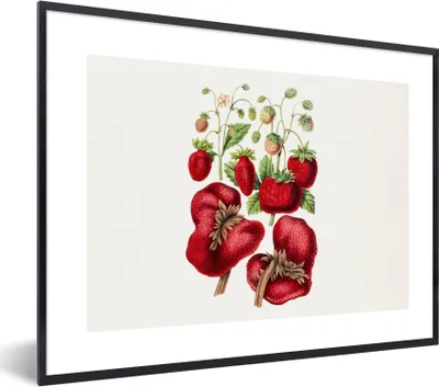 Produktbild von MuchoWow® Gerahmtes Poster Erdbeere - Lebensmittel - Pflanze 80x60 cm - Poster mit Schwarzem Bilderrahmen Wandposter Rahmen Foto Bilder - Schwarzem - Mit Gestell