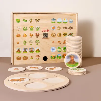 Produktbild von Holzspielzeug Lebenszyklus, 48 Spielfiguren mit 1 Rahmen, weiche Kanten, für Kinder ab 3 Jahren