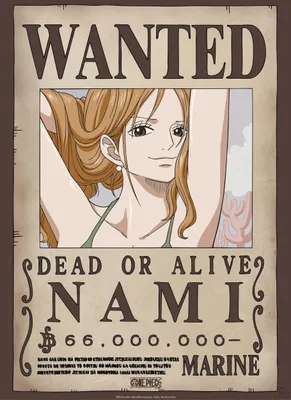 Produktbild von Poster One Piece Wanted Nami 38x52cm
