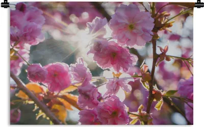Produktbild von MuchoWow® Wandteppich Wandbehang Sakura - Sonne - Frühling 120x80 cm Tapisserie Dekoration Wandtuch - Wanddekorationen - Wandtücher