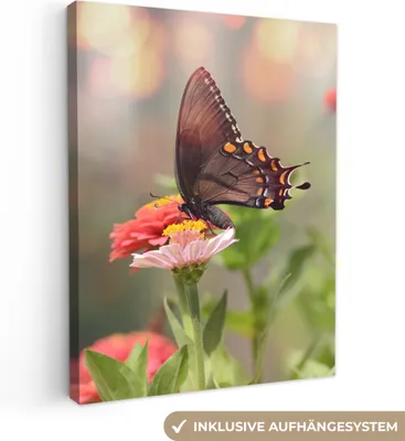 Produktbild von MuchoWow® - Leinwandbilder - Blumen - Schmetterling - Natur - Blume, Wandbild, Wanddeko Bilder Wohnzimmer, 60x80 cm