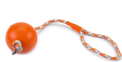 Immagine prodotto di Beeztees Ball No.3 con corda - Giocattolo per cani - arancione - 30 cm