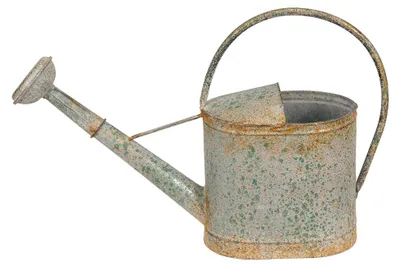 Immagine prodotto di Innaffiatoio Clayre & Eef 50x16x33 cm Grigio Verde Metallo