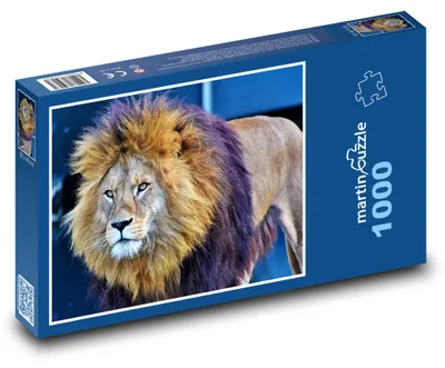 Zdjęcie produktu dla Puzzle 1000 Król Dżungli - Lew - martinpuzzle
